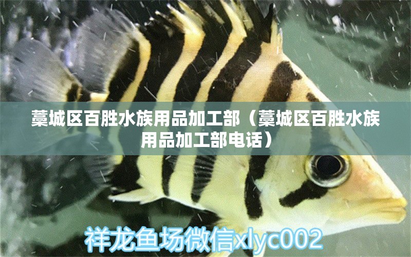 藁城區(qū)百勝水族用品加工部（藁城區(qū)百勝水族用品加工部電話(huà)）