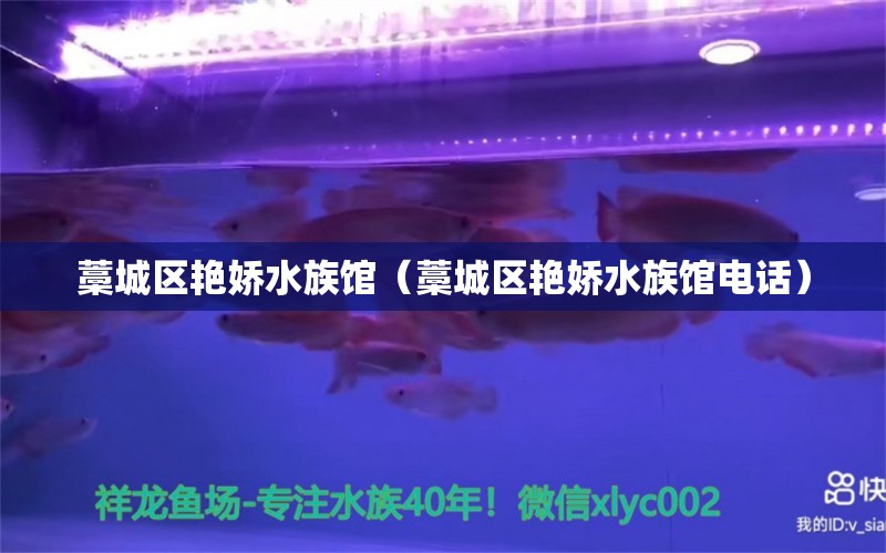 藁城區(qū)艷嬌水族館（藁城區(qū)艷嬌水族館電話）