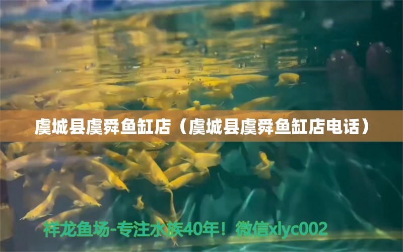 虞城縣虞舜魚缸店（虞城縣虞舜魚缸店電話）