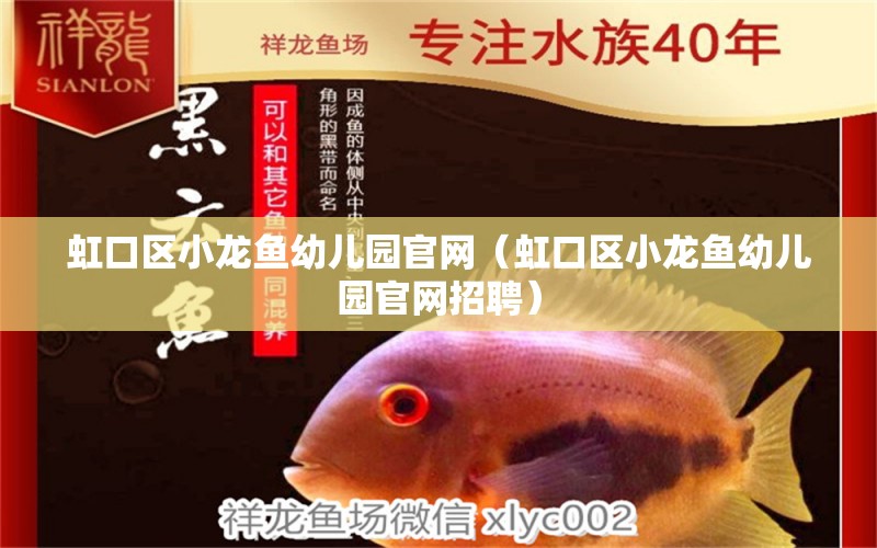 虹口區(qū)小龍魚(yú)幼兒園官網(wǎng)（虹口區(qū)小龍魚(yú)幼兒園官網(wǎng)招聘）