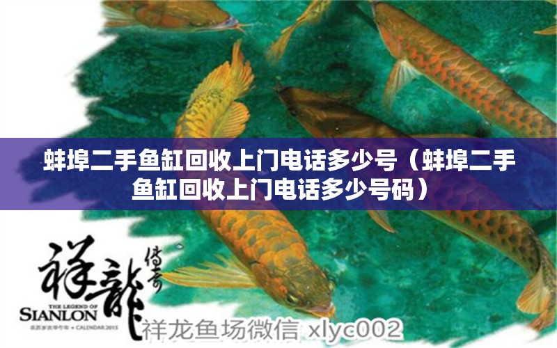 蚌埠二手魚缸回收上門電話多少號（蚌埠二手魚缸回收上門電話多少號碼） 祥龍水族醫(yī)院