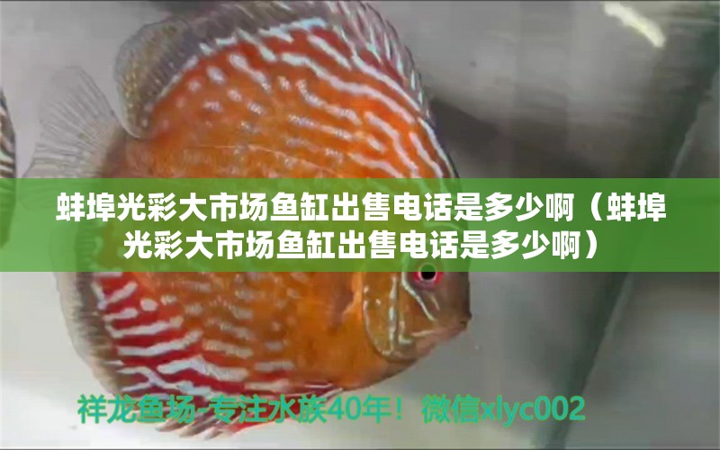 蚌埠光彩大市場(chǎng)魚缸出售電話是多少?。ò霾汗獠蚀笫袌?chǎng)魚缸出售電話是多少啊）