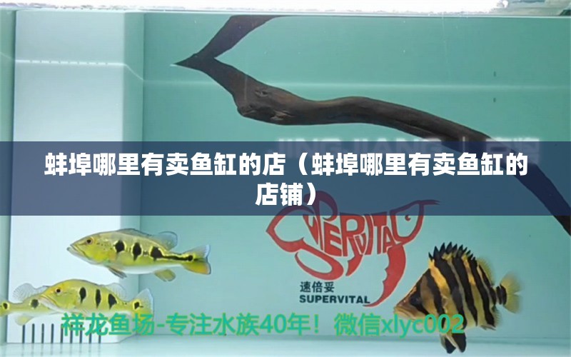 蚌埠哪里有賣魚缸的店（蚌埠哪里有賣魚缸的店鋪） 其他品牌魚缸