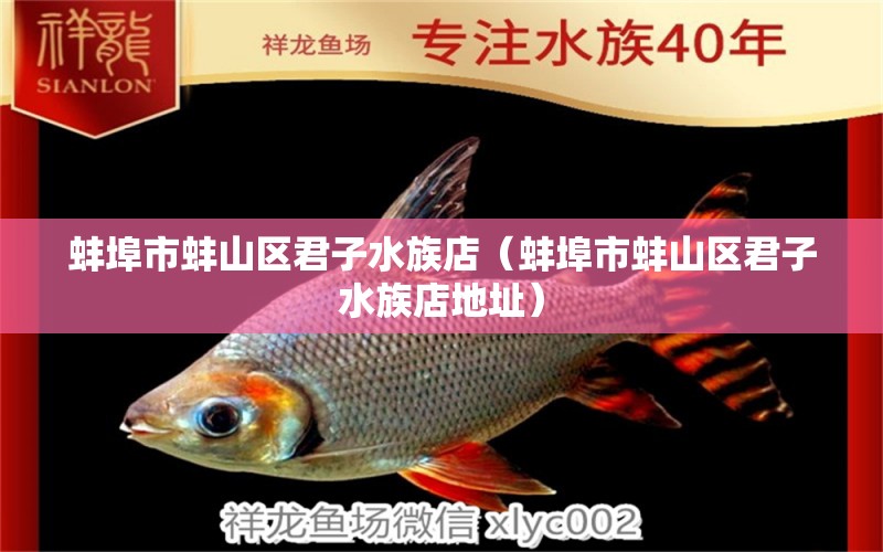 蚌埠市蚌山區(qū)君子水族店（蚌埠市蚌山區(qū)君子水族店地址） 全國水族館企業(yè)名錄