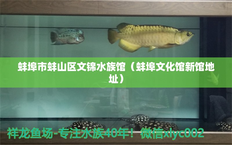 蚌埠市蚌山區(qū)文錦水族館（蚌埠文化館新館地址）