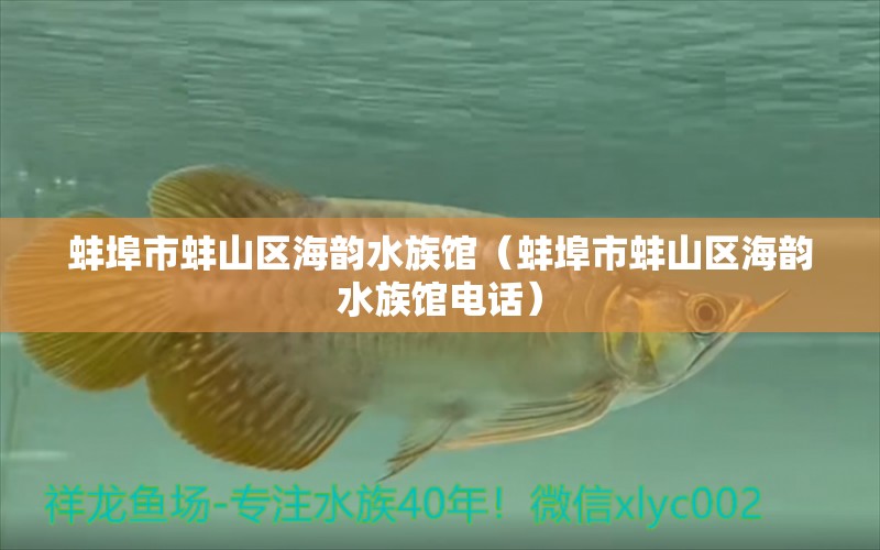 蚌埠市蚌山區(qū)海韻水族館（蚌埠市蚌山區(qū)海韻水族館電話） 全國水族館企業(yè)名錄