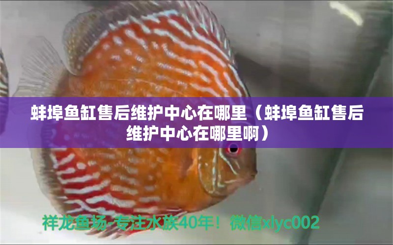 蚌埠魚缸售后維護(hù)中心在哪里（蚌埠魚缸售后維護(hù)中心在哪里?。? title=