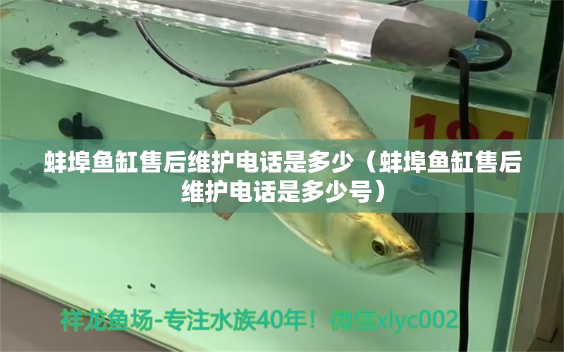 蚌埠魚缸售后維護電話是多少（蚌埠魚缸售后維護電話是多少號） 其他品牌魚缸