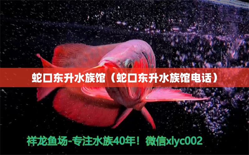 蛇口東升水族館（蛇口東升水族館電話） 全國(guó)水族館企業(yè)名錄