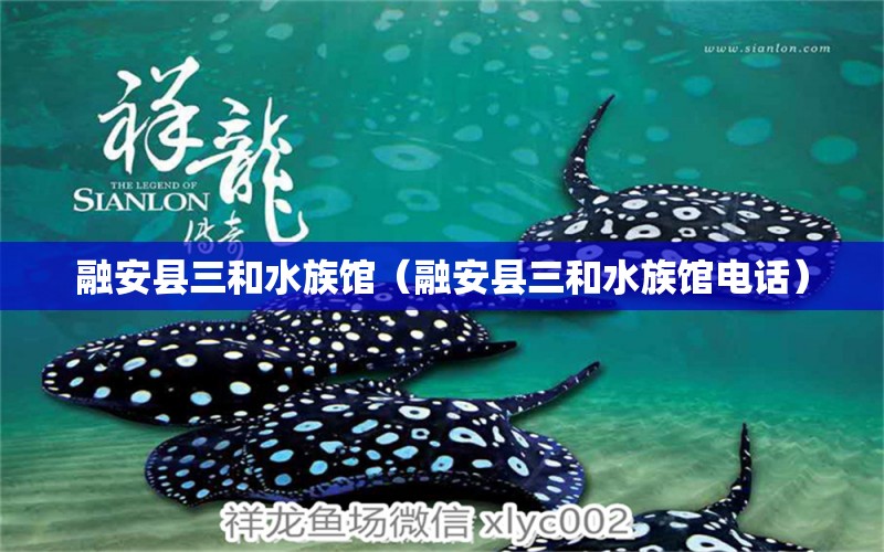 融安縣三和水族館（融安縣三和水族館電話） 全國水族館企業(yè)名錄