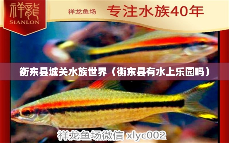 衡東縣城關(guān)水族世界（衡東縣有水上樂園嗎） 全國水族館企業(yè)名錄