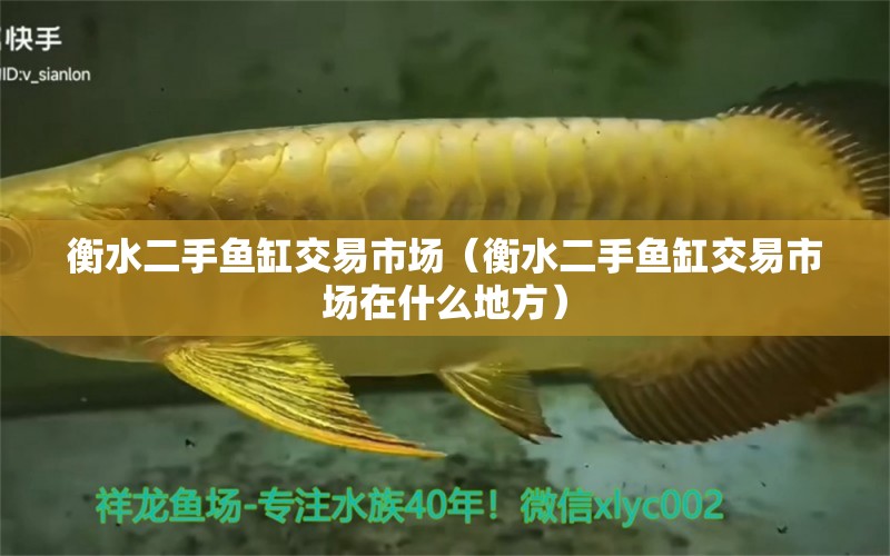 衡水二手魚缸交易市場（衡水二手魚缸交易市場在什么地方） 其他品牌魚缸