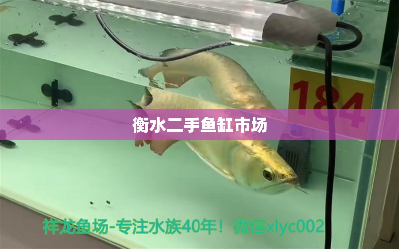 衡水二手魚缸市場(chǎng)