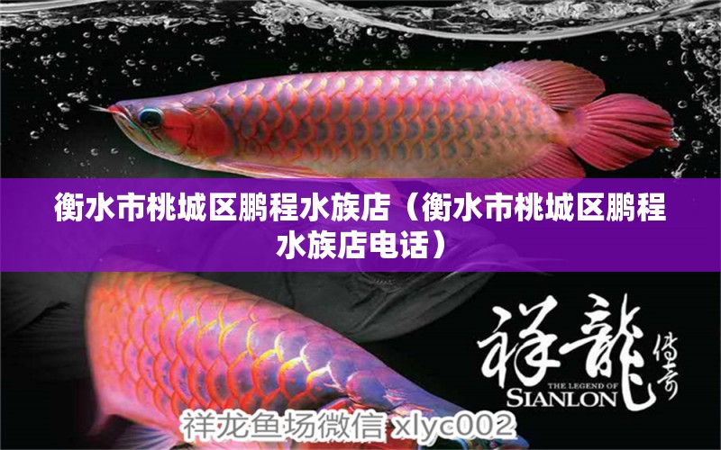 衡水市桃城區(qū)鵬程水族店（衡水市桃城區(qū)鵬程水族店電話） 全國水族館企業(yè)名錄