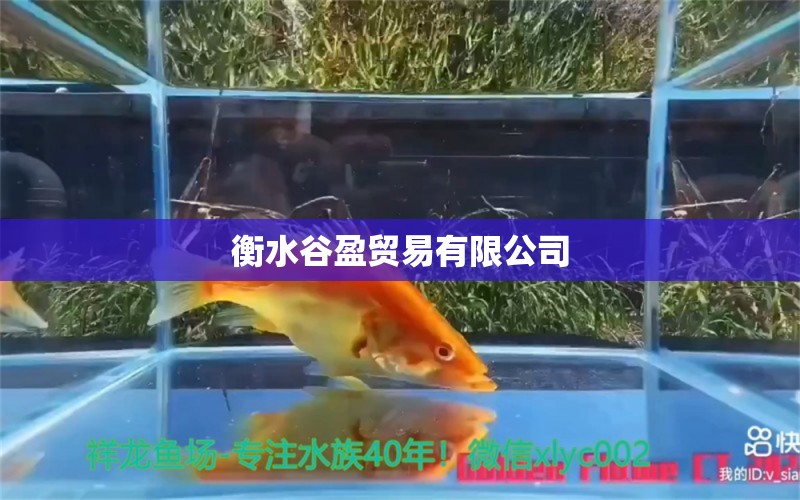 衡水谷盈貿(mào)易有限公司 全國水族館企業(yè)名錄