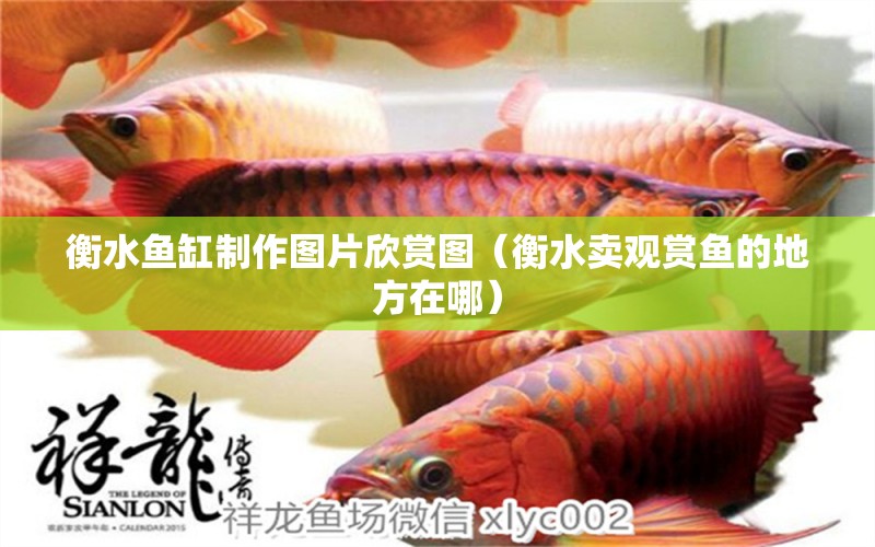 衡水魚缸制作圖片欣賞圖（衡水賣觀賞魚的地方在哪）