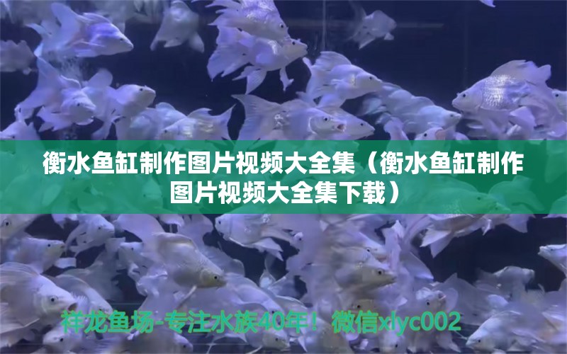 衡水魚缸制作圖片視頻大全集（衡水魚缸制作圖片視頻大全集下載）