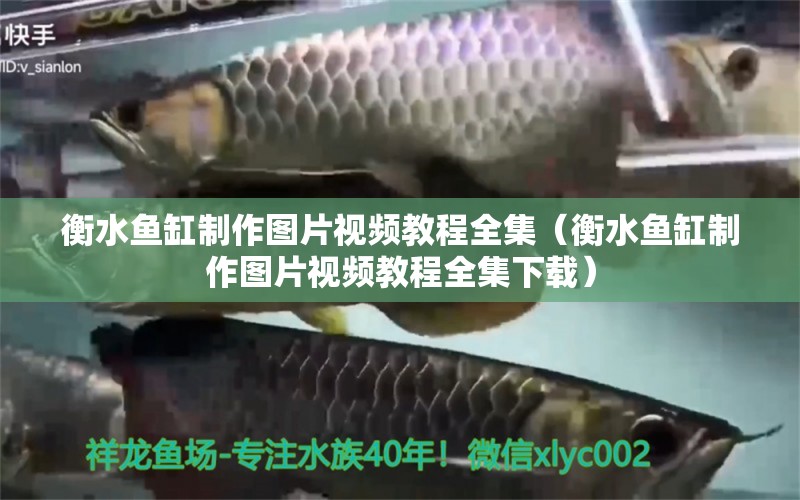 衡水魚缸制作圖片視頻教程全集（衡水魚缸制作圖片視頻教程全集下載）