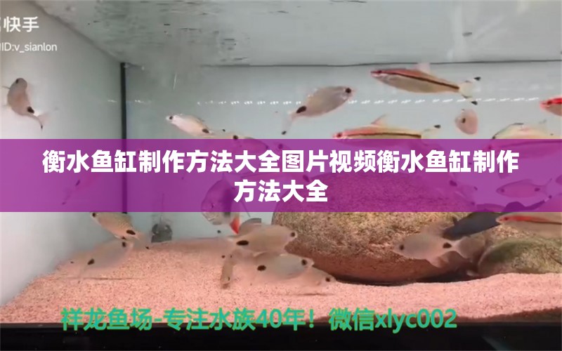 衡水魚缸制作方法大全圖片視頻衡水魚缸制作方法大全