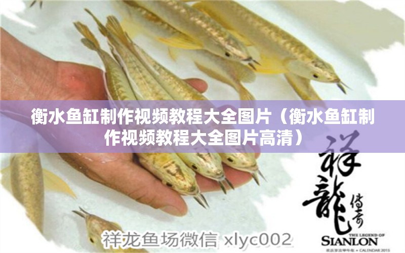 衡水魚缸制作視頻教程大全圖片（衡水魚缸制作視頻教程大全圖片高清）