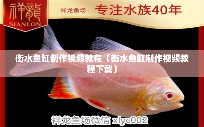 衡水魚(yú)缸制作視頻教程（衡水魚(yú)缸制作視頻教程下載） 潛水泵