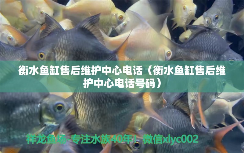 衡水魚缸售后維護(hù)中心電話（衡水魚缸售后維護(hù)中心電話號碼） 其他品牌魚缸