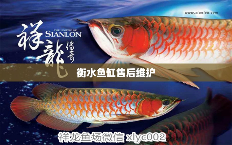 衡水魚缸售后維護 彩鰈魚缸（彩蝶魚缸）