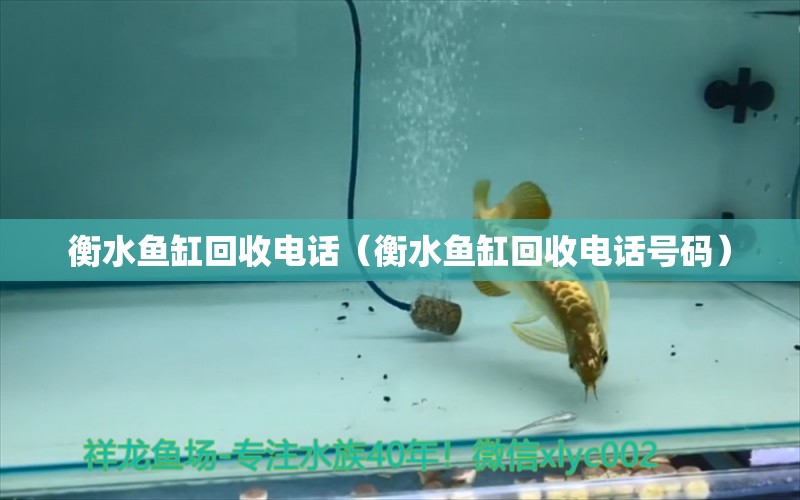 衡水魚缸回收電話（衡水魚缸回收電話號(hào)碼）