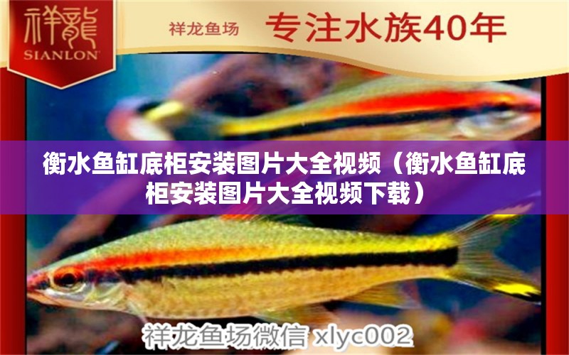 衡水魚缸底柜安裝圖片大全視頻（衡水魚缸底柜安裝圖片大全視頻下載） 巴西亞魚苗