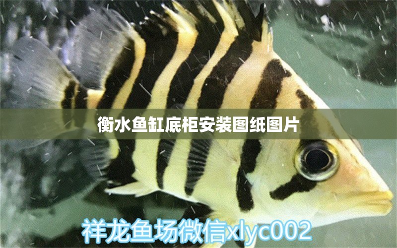 衡水魚缸底柜安裝圖紙圖片 水族問答 第1張