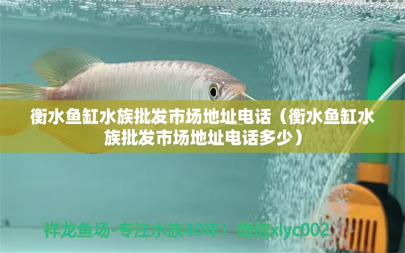 衡水魚缸水族批發(fā)市場地址電話（衡水魚缸水族批發(fā)市場地址電話多少）