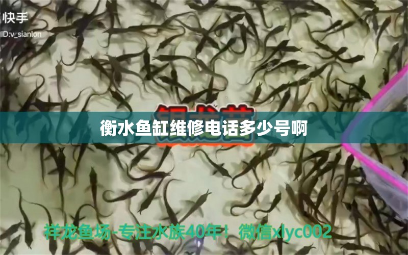 衡水魚(yú)缸維修電話(huà)多少號(hào)啊