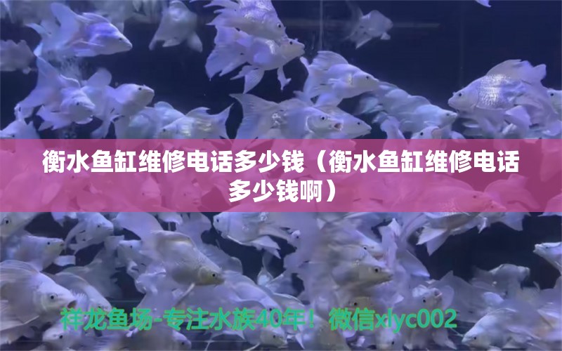 衡水魚缸維修電話多少錢（衡水魚缸維修電話多少錢?。?祥龍水族醫(yī)院