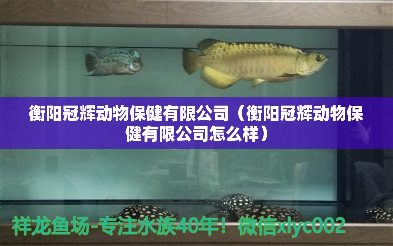 衡陽冠輝動物保健有限公司（衡陽冠輝動物保健有限公司怎么樣）