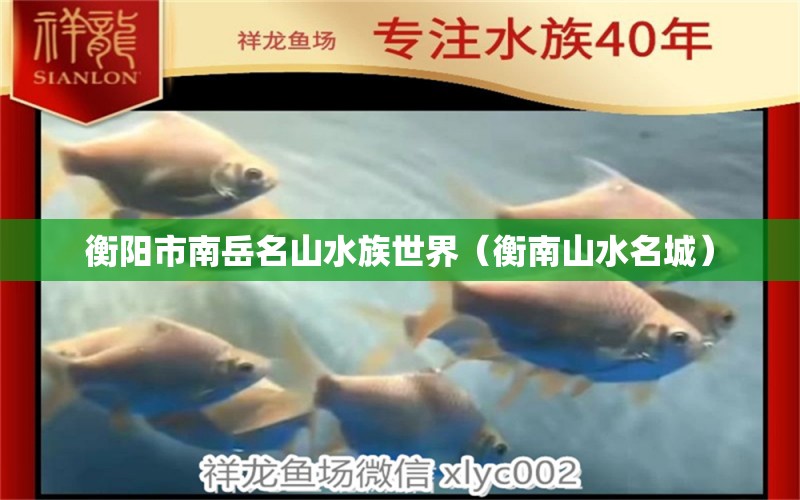 衡陽市南岳名山水族世界（衡南山水名城） 全國水族館企業(yè)名錄