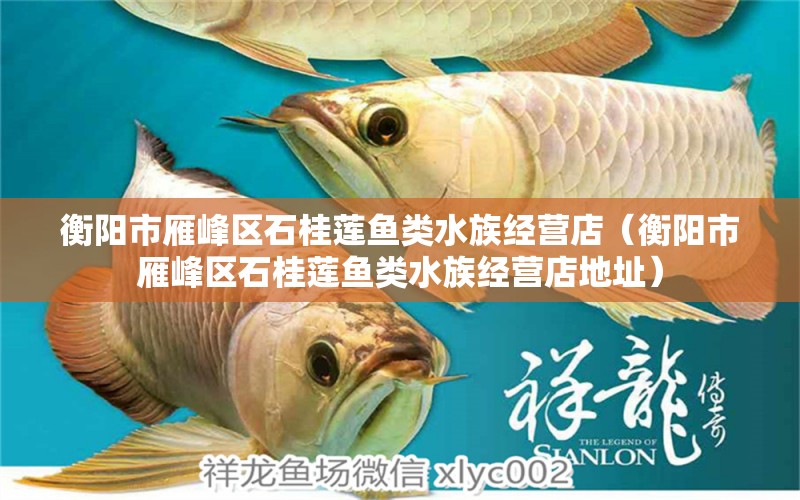 衡陽市雁峰區(qū)石桂蓮魚類水族經(jīng)營店（衡陽市雁峰區(qū)石桂蓮魚類水族經(jīng)營店地址）