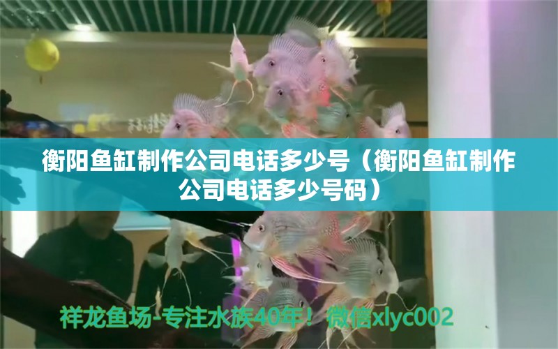 衡陽魚缸制作公司電話多少號（衡陽魚缸制作公司電話多少號碼） 祥龍水族醫(yī)院