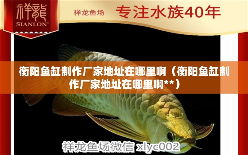 衡陽(yáng)魚缸制作廠家地址在哪里啊（衡陽(yáng)魚缸制作廠家地址在哪里啊**） 斯維尼關(guān)刀魚