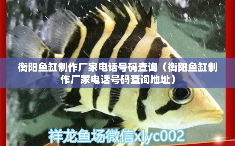 衡陽魚缸制作廠家電話號碼查詢（衡陽魚缸制作廠家電話號碼查詢地址）