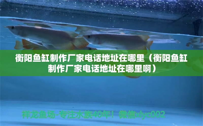 衡陽魚缸制作廠家電話地址在哪里（衡陽魚缸制作廠家電話地址在哪里?。? title=