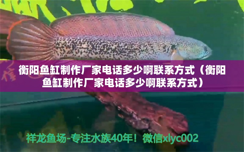 衡陽魚缸制作廠家電話多少啊聯(lián)系方式（衡陽魚缸制作廠家電話多少啊聯(lián)系方式）