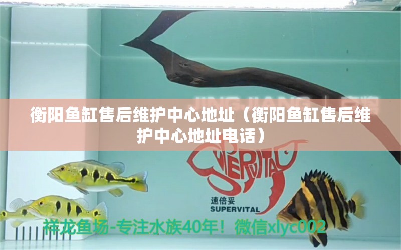 衡陽(yáng)魚缸售后維護(hù)中心地址（衡陽(yáng)魚缸售后維護(hù)中心地址電話） 其他品牌魚缸