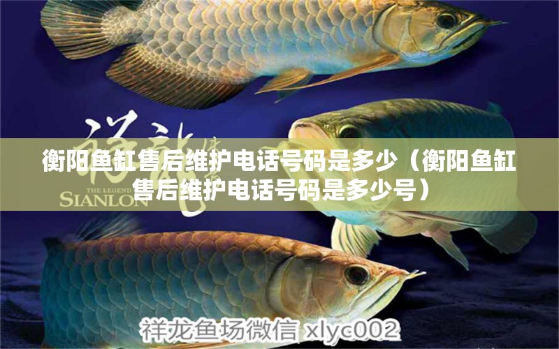 衡陽魚缸售后維護電話號碼是多少（衡陽魚缸售后維護電話號碼是多少號） 其他品牌魚缸