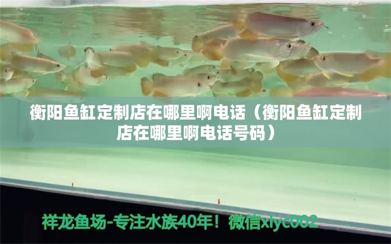 衡陽魚缸定制店在哪里啊電話（衡陽魚缸定制店在哪里啊電話號(hào)碼） 祥龍水族醫(yī)院