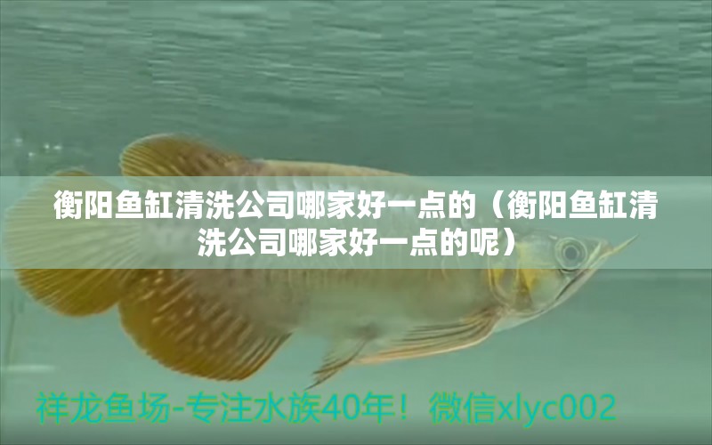 衡陽魚缸清洗公司哪家好一點的（衡陽魚缸清洗公司哪家好一點的呢） 丹頂錦鯉魚