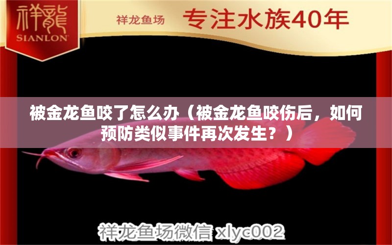 被金龍魚咬了怎么辦（被金龍魚咬傷后，如何預(yù)防類似事件再次發(fā)生？）