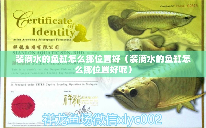 裝滿水的魚缸怎么挪位置好（裝滿水的魚缸怎么挪位置好呢）