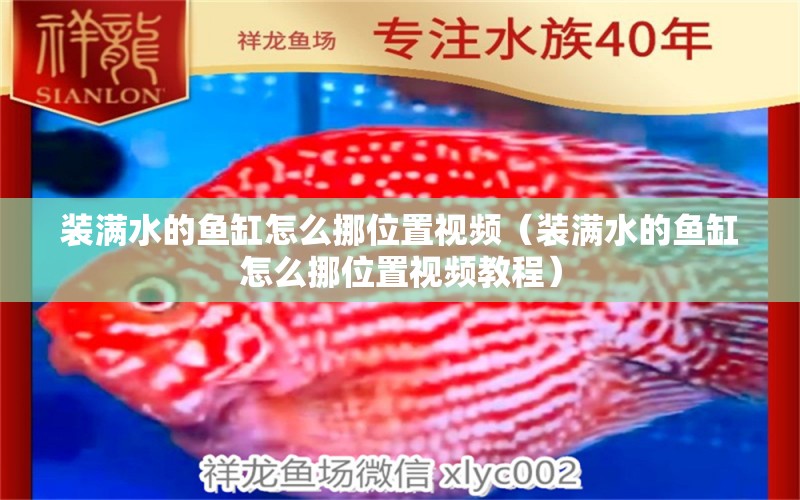 裝滿水的魚缸怎么挪位置視頻（裝滿水的魚缸怎么挪位置視頻教程）