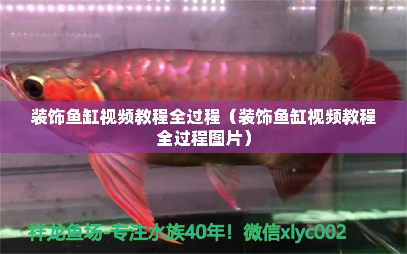 裝飾魚缸視頻教程全過程（裝飾魚缸視頻教程全過程圖片）