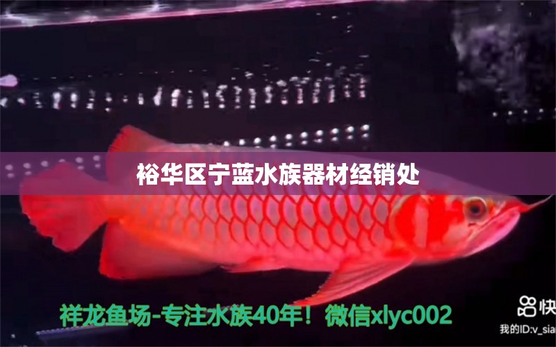 裕華區(qū)寧藍(lán)水族器材經(jīng)銷處